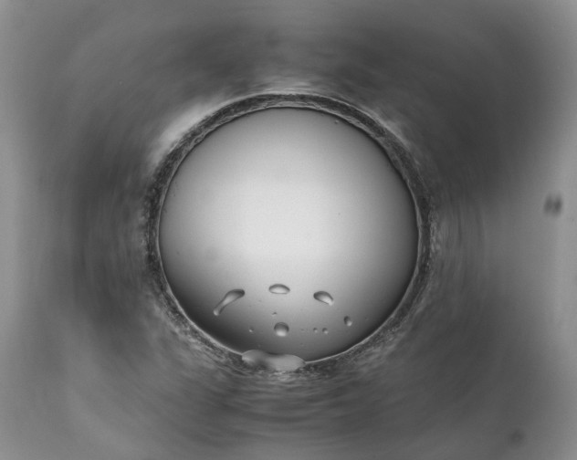 X0000111391311200907241324