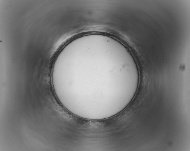 X0000111391312200907241324