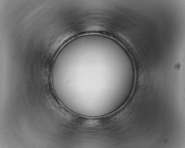 X0000111391313200907241324