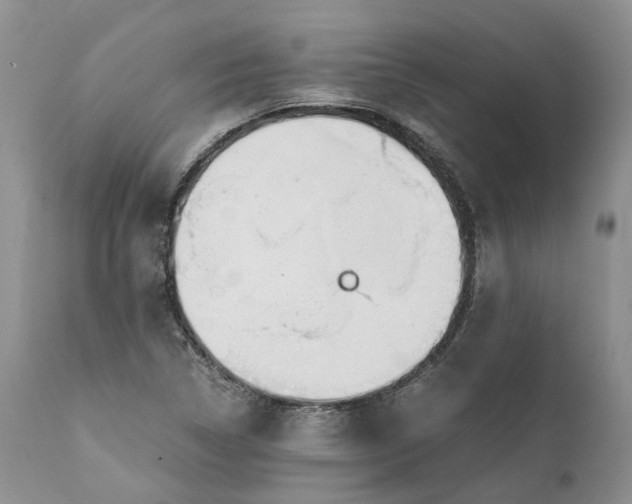 X0000111391314200907241324