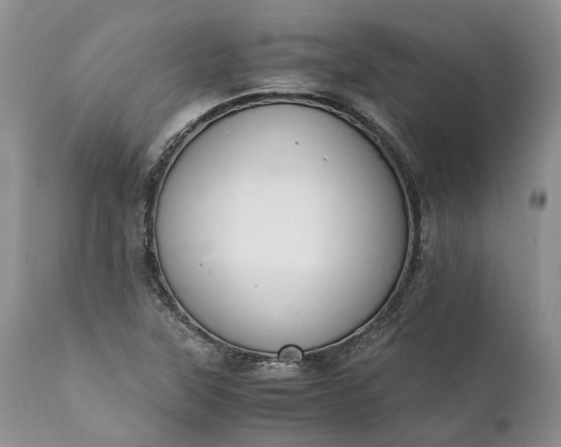 X0000111391315200907241324