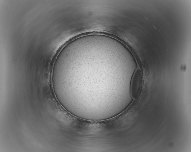 X0000111391316200907241324