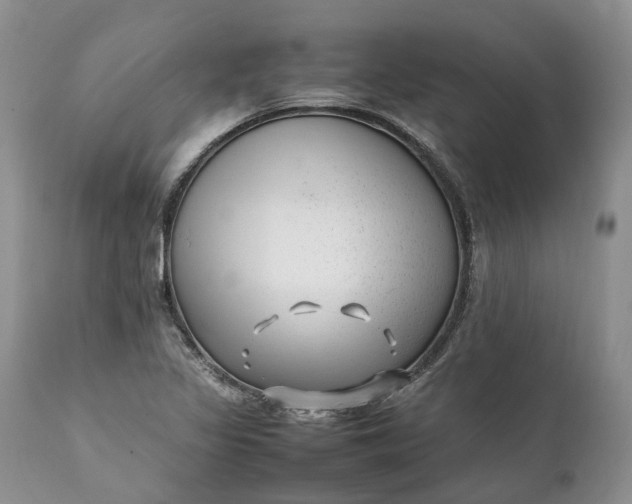 X0000111391317200907241324