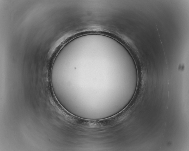 X0000111391318200907241324