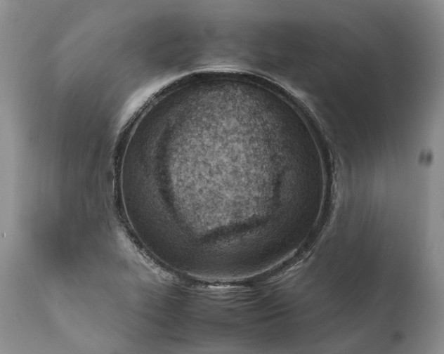 X0000111391319200907241324