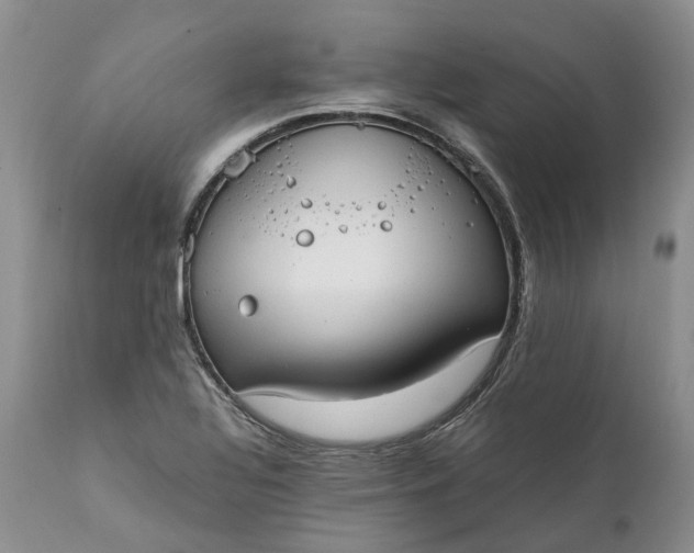 X0000111391320200907241324