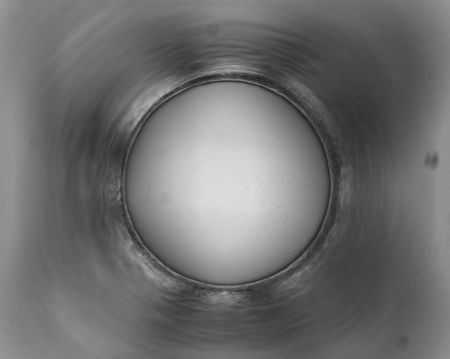 X0000111391321200907241324