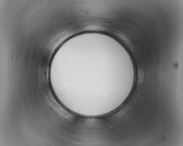 X0000111391322200907241324