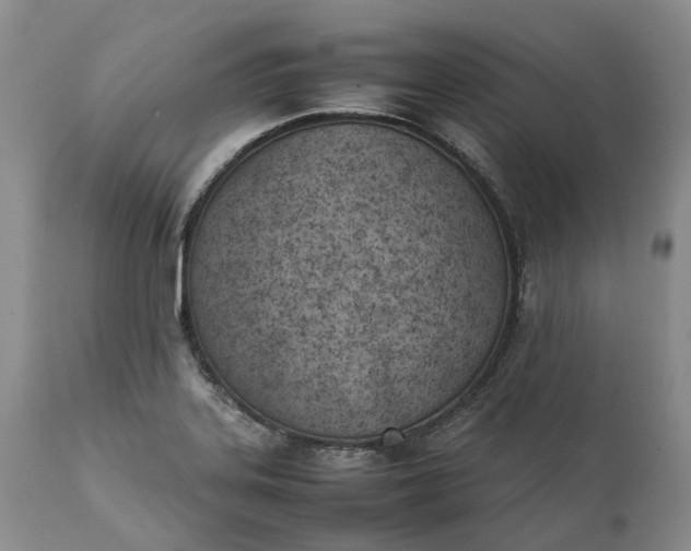 X0000111391323200907241324