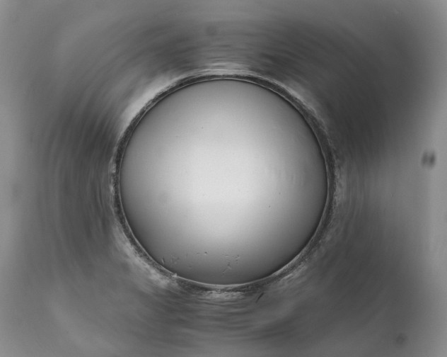 X0000111391325200907241324