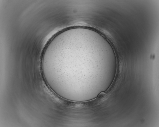 X0000111391326200907241324