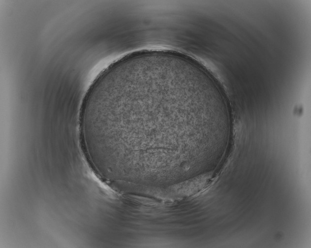 X0000111391327200907241324