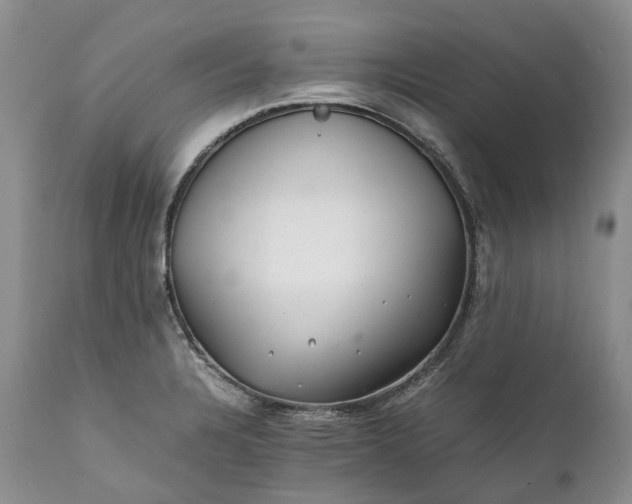 X0000111391328200907241324