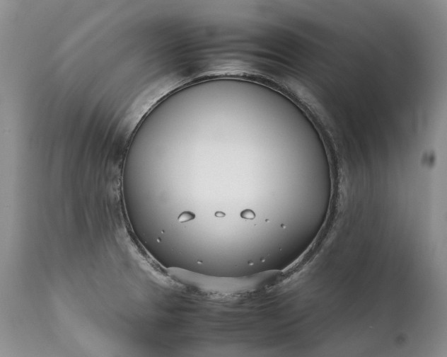 X0000111391329200907241324