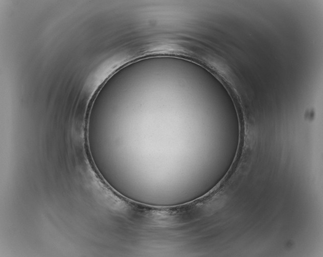 X0000111391330200907241324