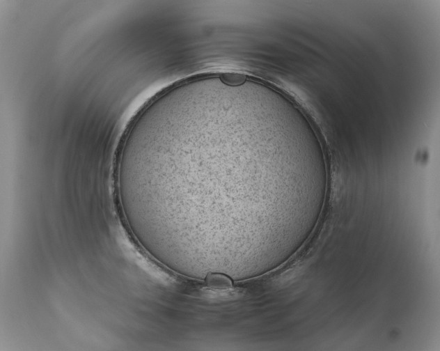 X0000111391331200907241324