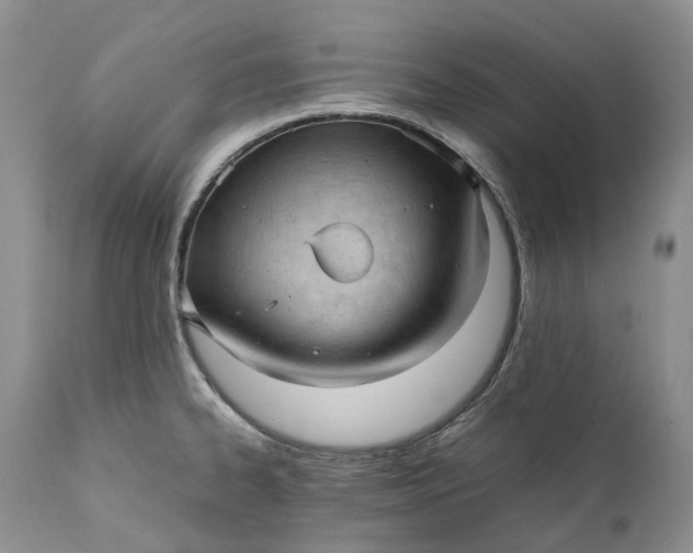 X0000111391334200907241324