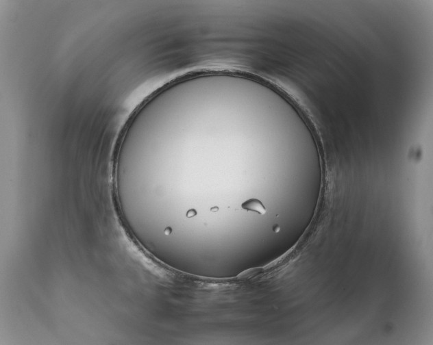 X0000111391335200907241325