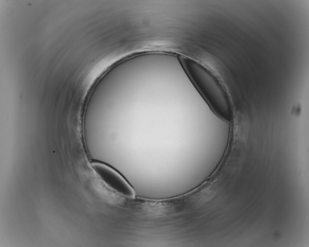 X0000111391336200907241325