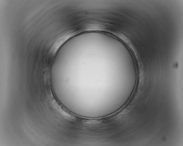 X0000111391337200907241325