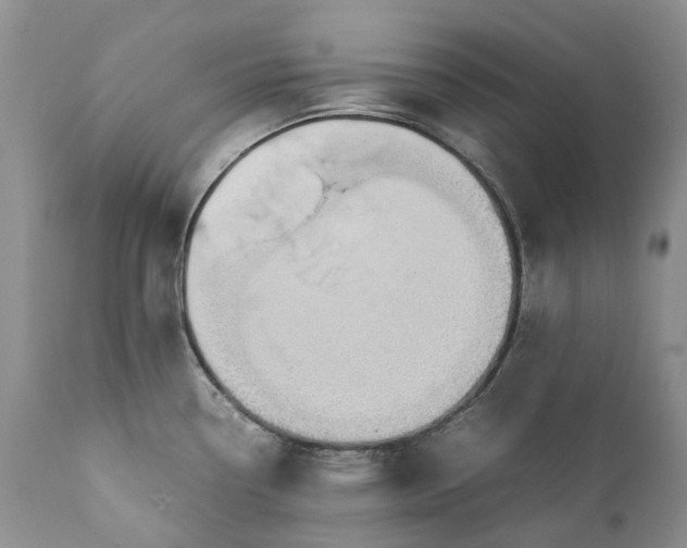 X0000111391338200907241325