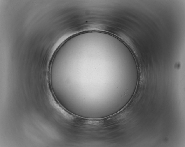 X0000111391339200907241325