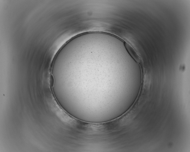 X0000111391340200907241325