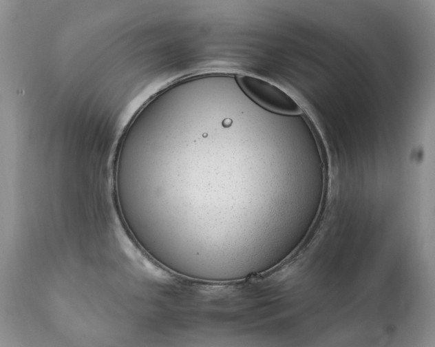 X0000111391341200907241325