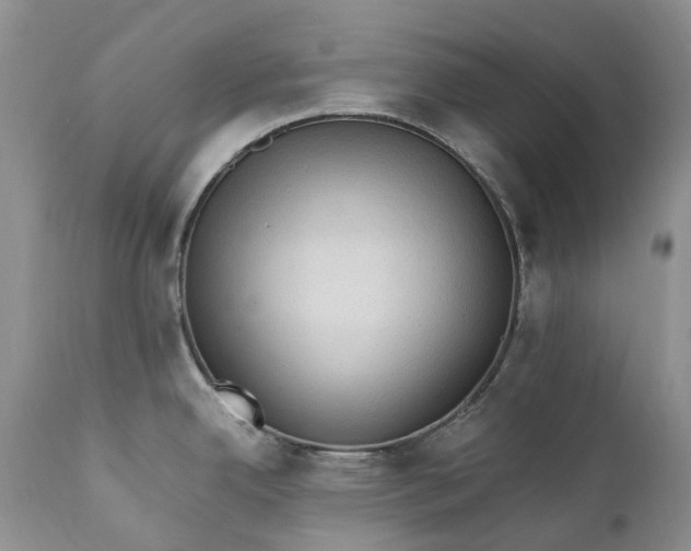 X0000111391342200907241325