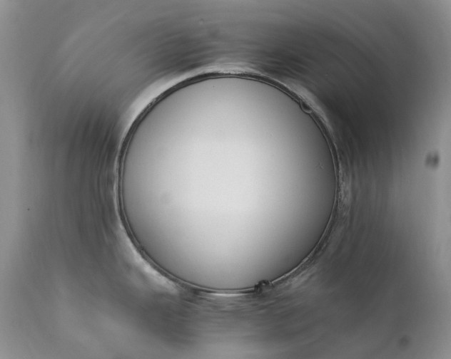 X0000111391343200907241325