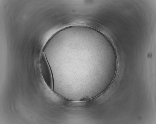 X0000111391344200907241325