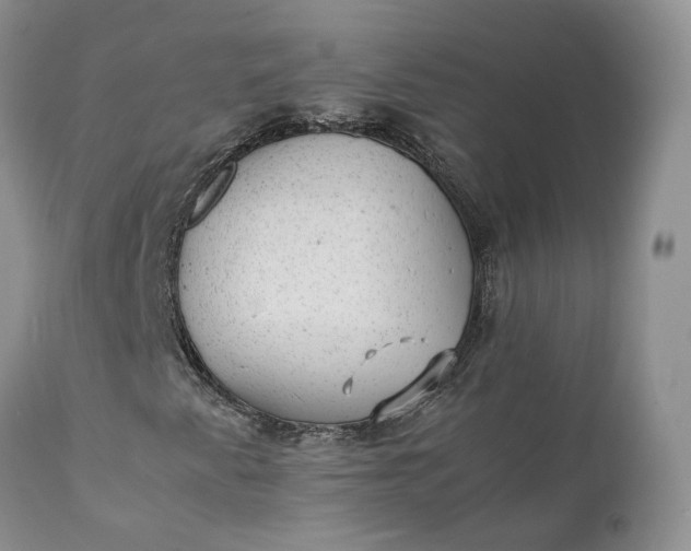 X0000111391345200907241324