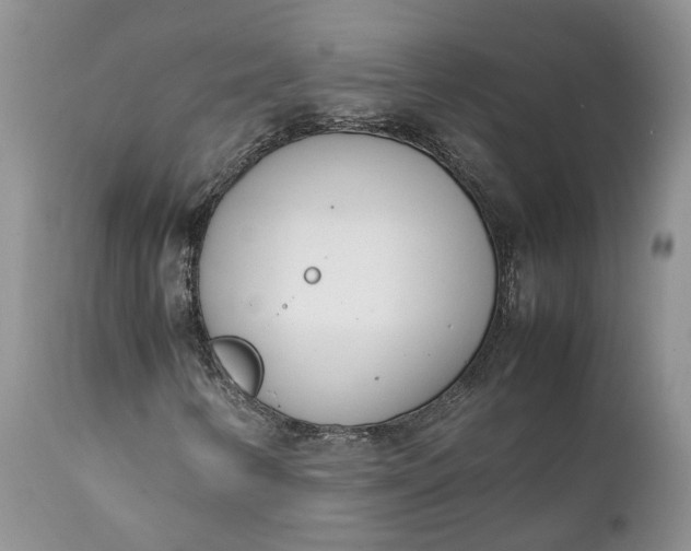 X0000111391346200907241324