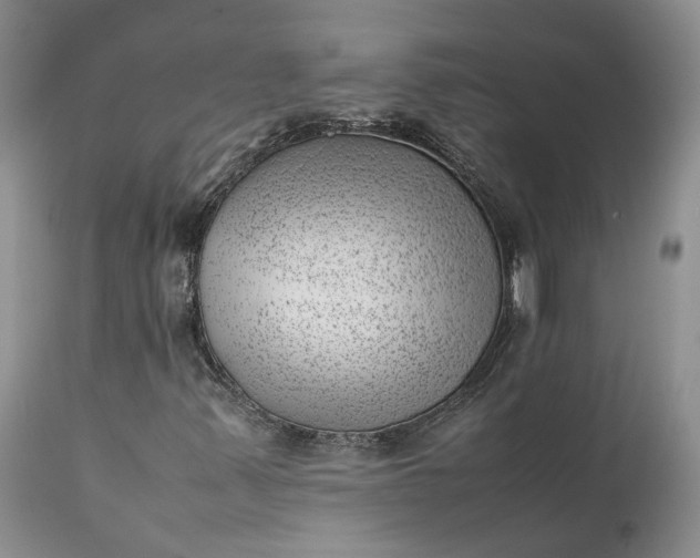 X0000111391347200907241324