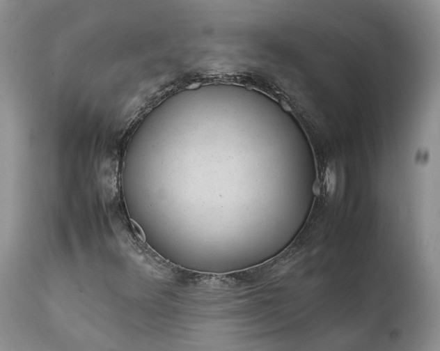 X0000111391348200907241324