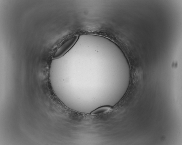 X0000111391349200907241324