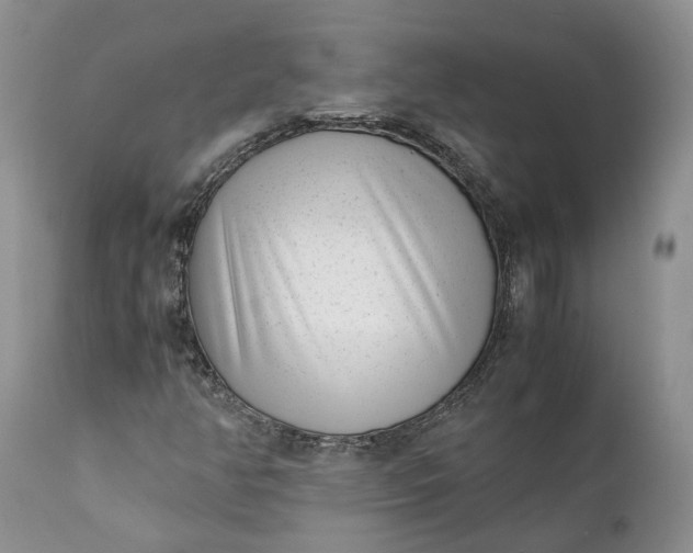 X0000111391350200907241324