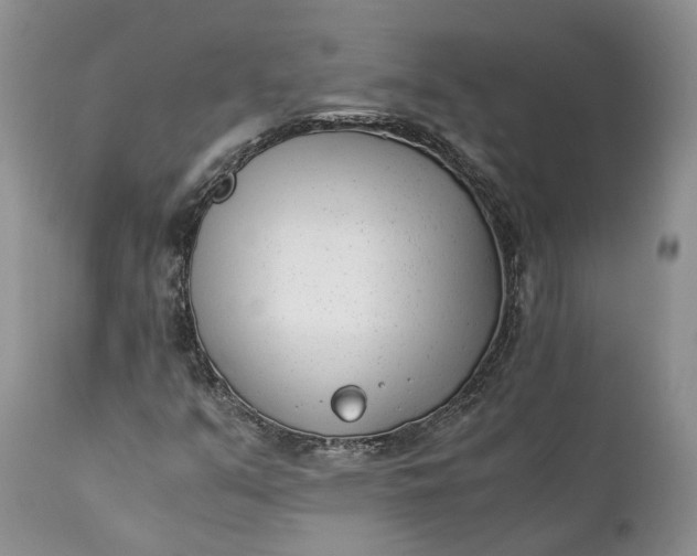 X0000111391351200907241324