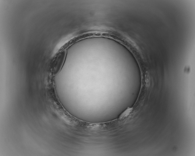 X0000111391352200907241324