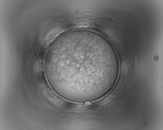 X0000111391353200907241324