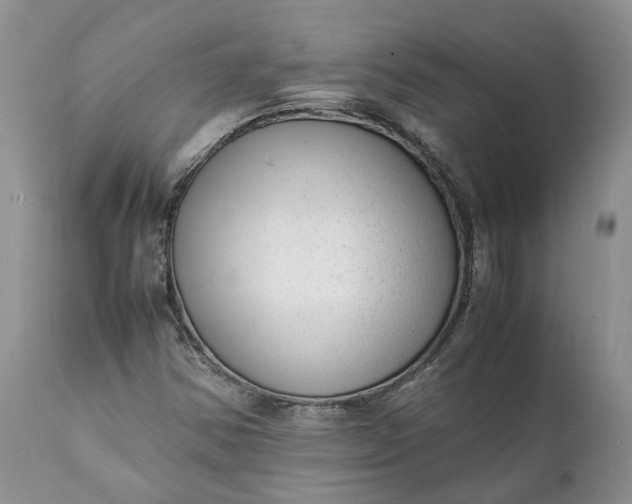 X0000111391354200907241324