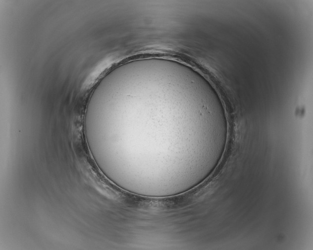 X0000111391355200907241324