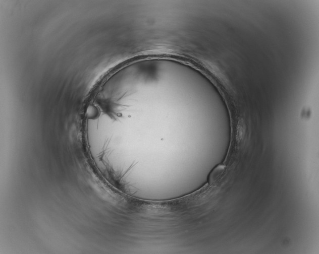 X0000111391356200907241324