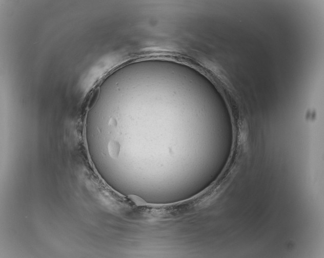 X0000111391357200907241324