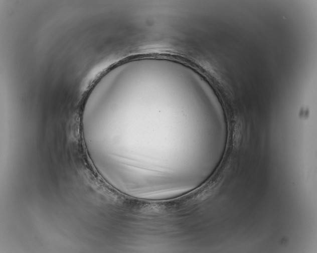 X0000111391358200907241324