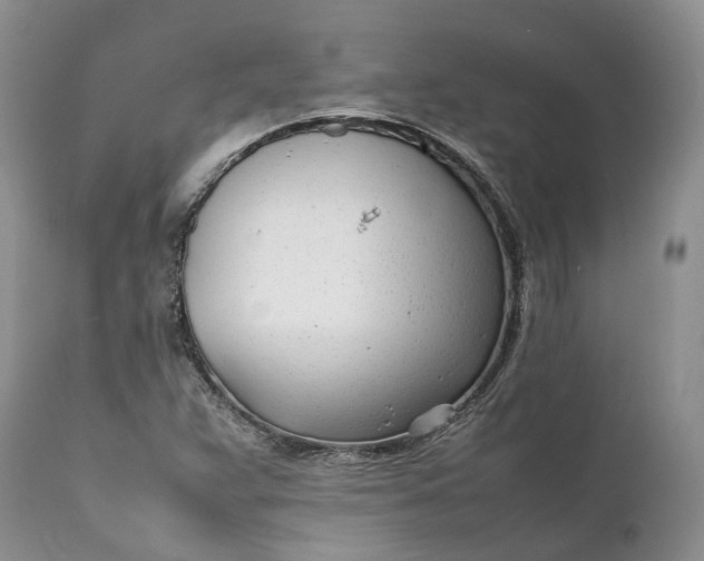 X0000111391359200907241324