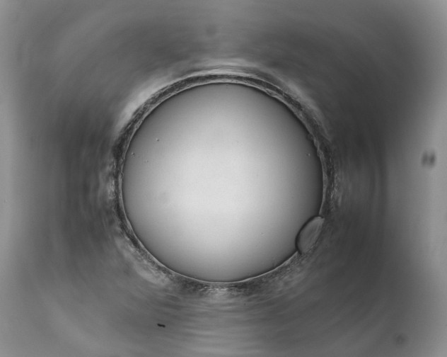 X0000111391360200907241324