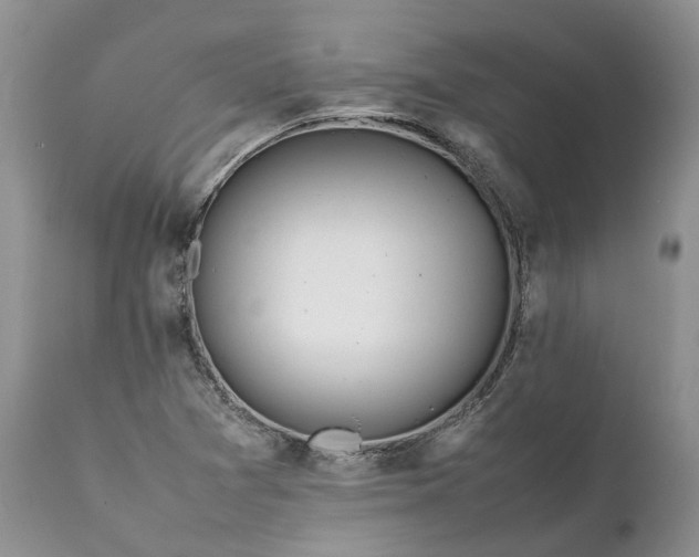 X0000111391361200907241324