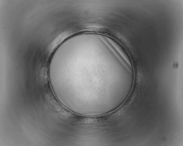 X0000111391362200907241324