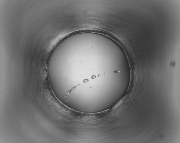 X0000111391363200907241324